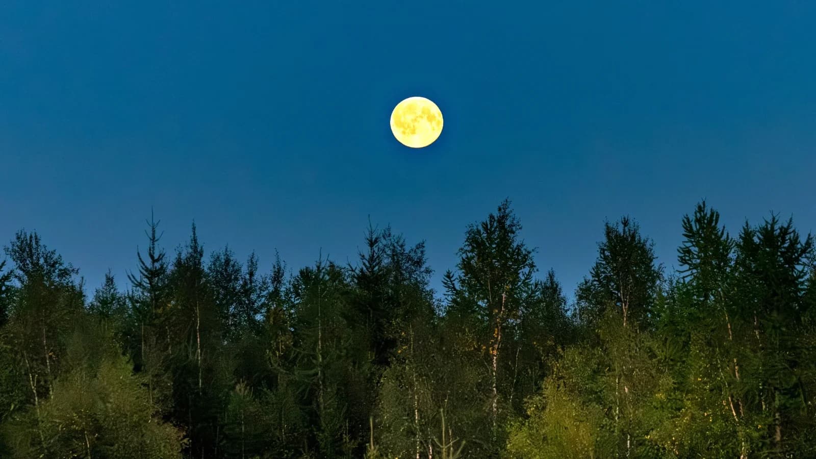 На Ямале снят режим беспилотной опасности